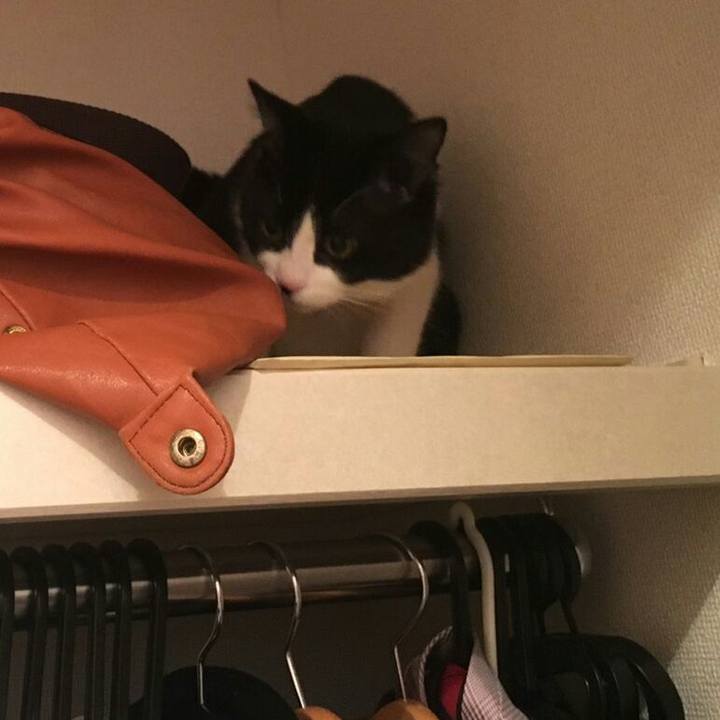 Ccbe865e 0ee5 445f 92e9 dfafe6ce45ad