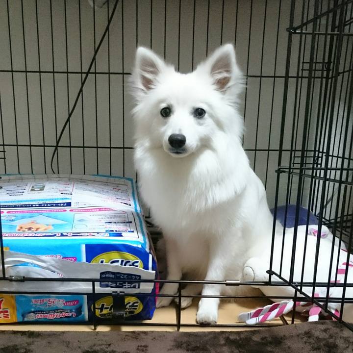 Ccbe98f1 974f 4c10 80bc 66ee28ee55db