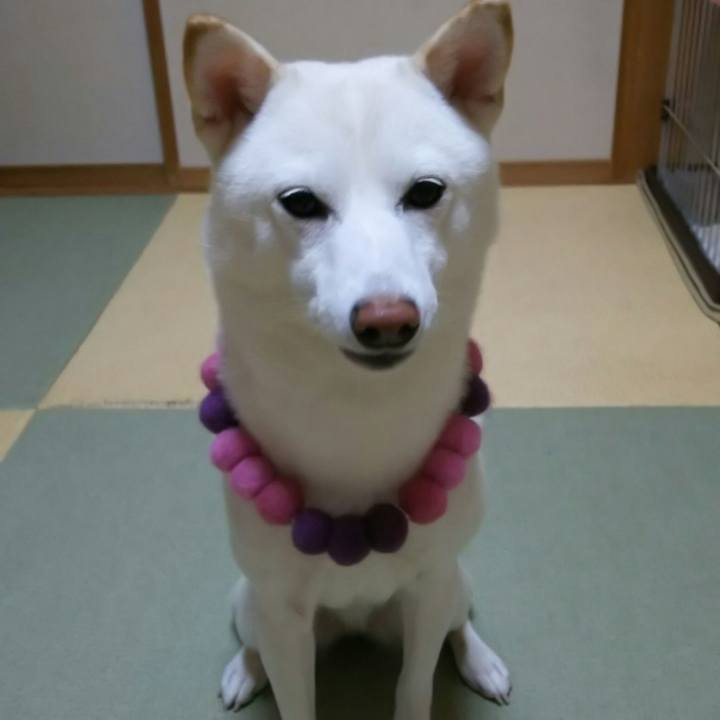 Ccbeccaf a838 4c46 849d 2fc0498c3d17