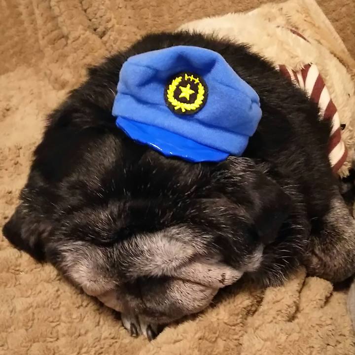 Ccbf450d 32be 435c bc06 76d5767f1ec5