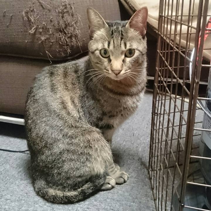 Ccbf4a80 7f7d 445b 8d59 f9dd46c61389