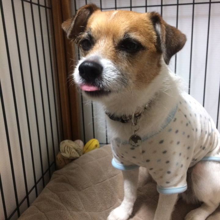 Ccbf4e67 b526 4b78 8585 785a42cae2a1