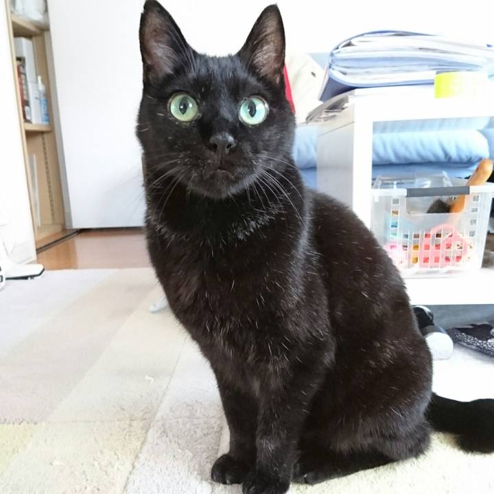 Ccbf9ccc 932e 4327 8534 96e6842b1e90