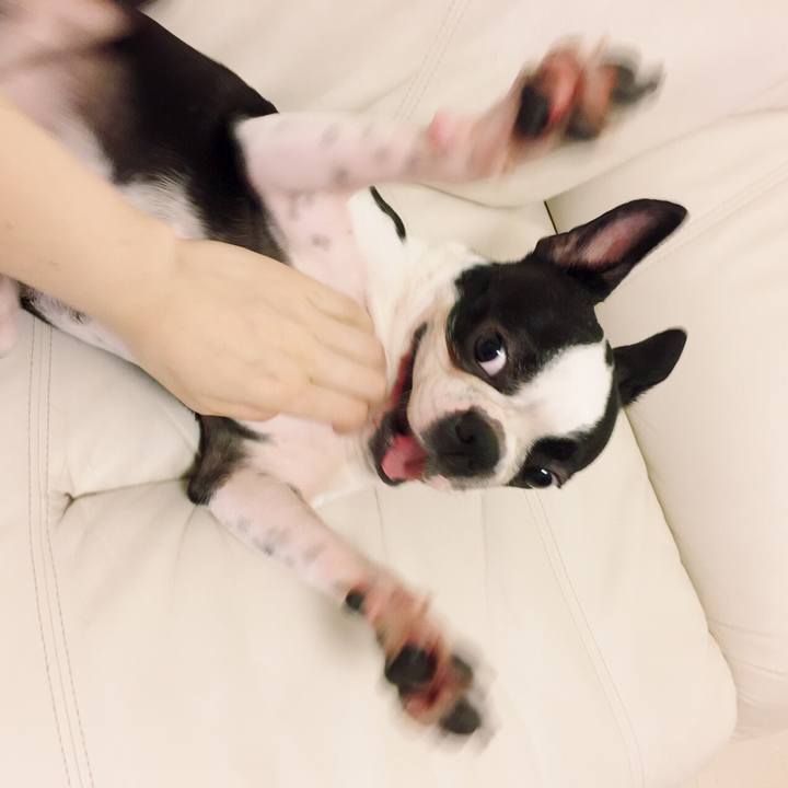 Ccbfd941 d2b5 4fc7 8ba3 bcd2836d1d88