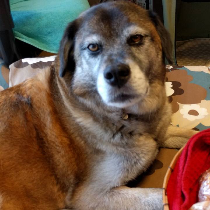 Ccbfeb8b 7263 4bb3 855b 01e2f2583934