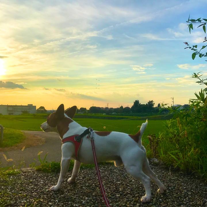 Ccc02962 0d5b 4ffc 98b4 a67ed3df0669