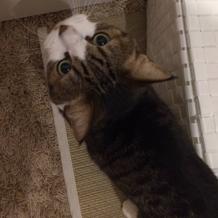 Ccc0a848 315a 4370 b2f1 d0aee9e42dc5