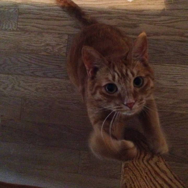 Ccc0b44b 2c1b 4bd6 8bf1 0f2757e2552a