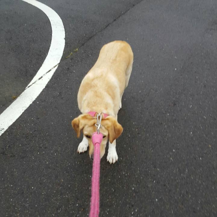 Ccc145b3 c0ab 4956 b05e df6cbf1c275c