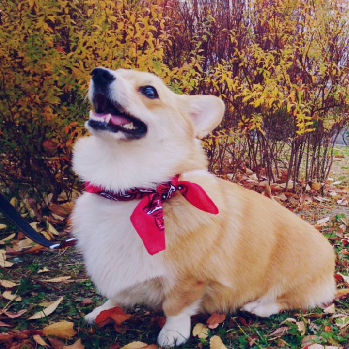 Ccc2416b 0973 4969 91c5 44dc905c82a9