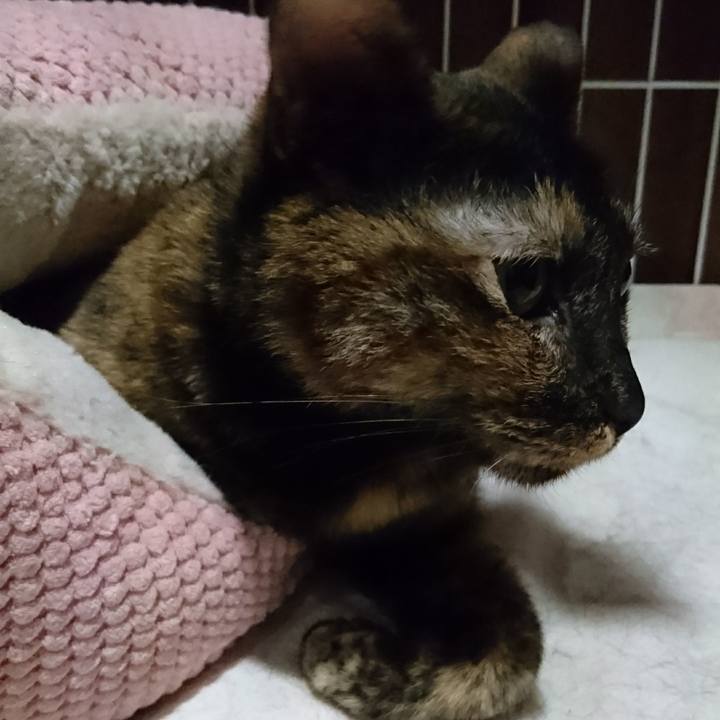 Ccc25d22 1c4c 4516 b1d8 34a1ea3ab7c0