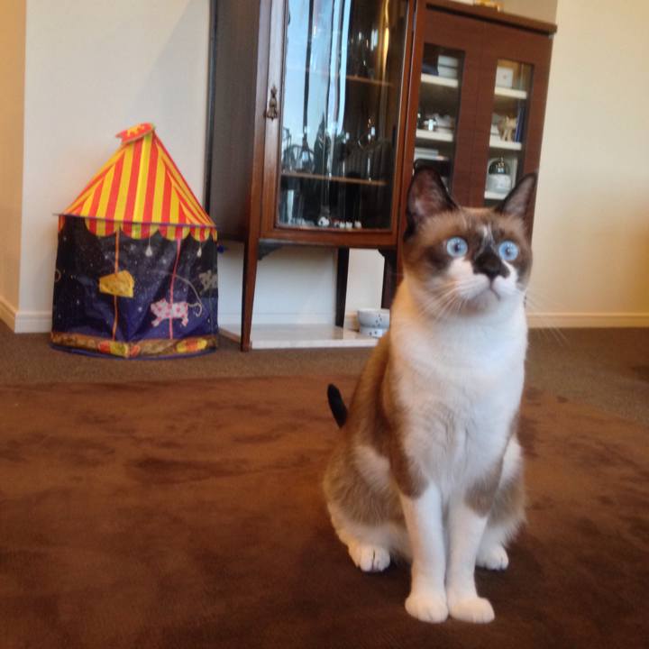 Ccc31d7b 39f5 42c4 8338 03d02c62863d