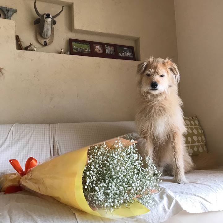 Ccc36d7d 4754 490a b55e ed91fa8e133f