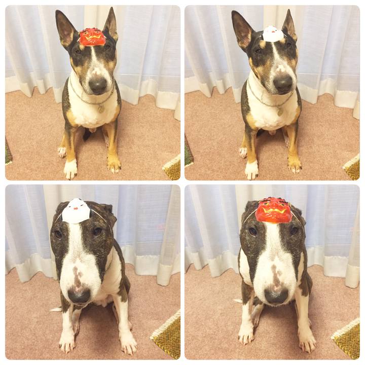 Ccc3af7f 63c0 43fe b363 bcbc49a16c2c