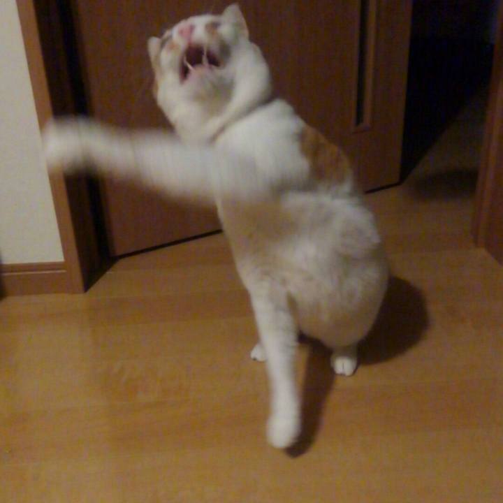Ccc408b7 95bf 4ac2 a9b7 1f38d117f34d