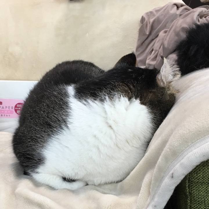 Ccc41129 1c13 4d0a a740 22d957e7ec85