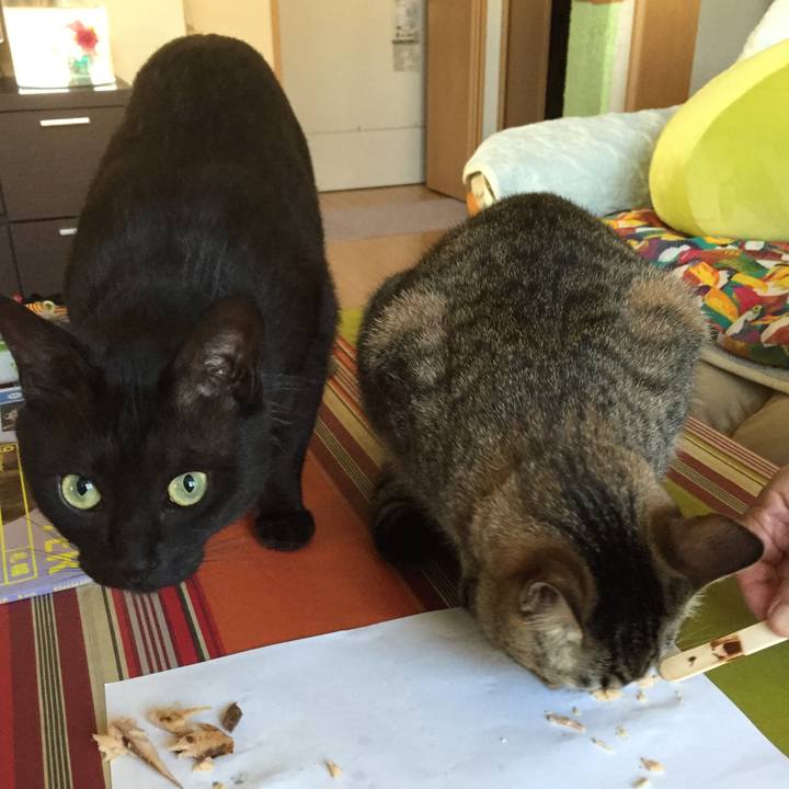 Ccc46c16 e555 4ddb 9ed4 6472277a69fb