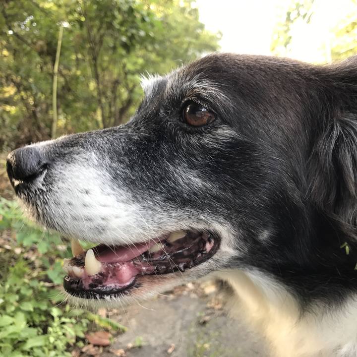 Ccc4d466 6995 43c2 9471 e7042a212cca