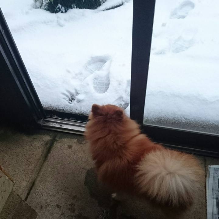 Ccc52042 e8ed 4058 b3de cf842bf5c6bf