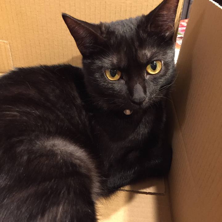 Ccc56bf0 fba8 4dab a221 1049e91df889