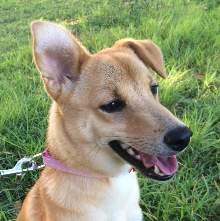 Ccc57585 af9f 4091 afdc 89a368d3700e