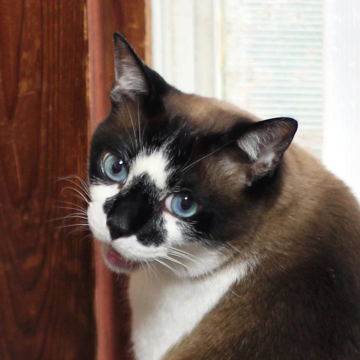 Ccc60d83 c253 4f44 a127 1b768c02f86f