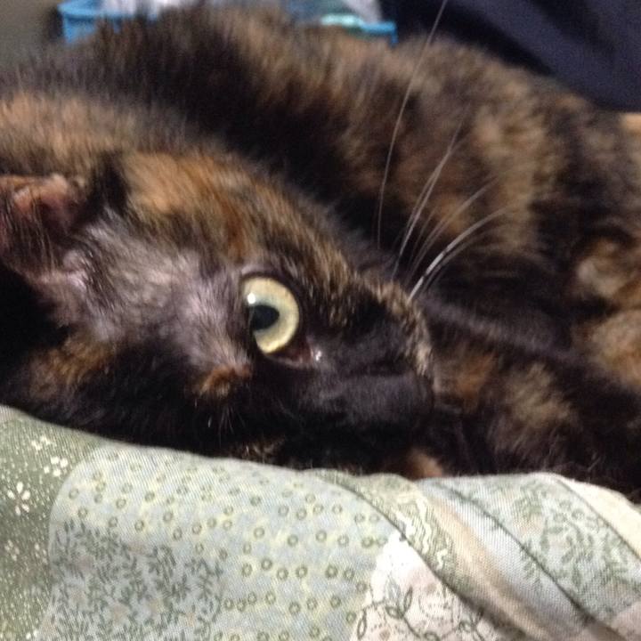 Ccc62d4c a2f3 47ac b7be 5e020ec2c7c0