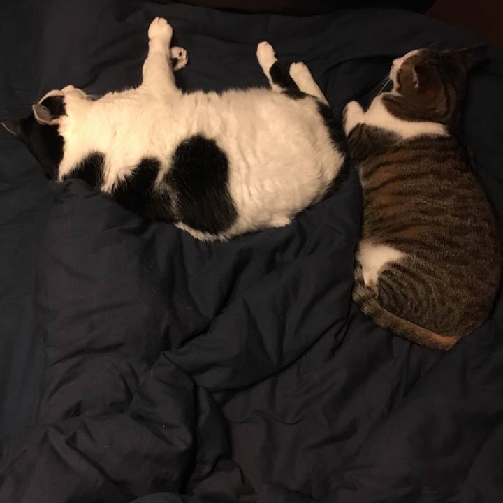 Ccc6963c d5ee 444d 9e9a 1ba918238c39