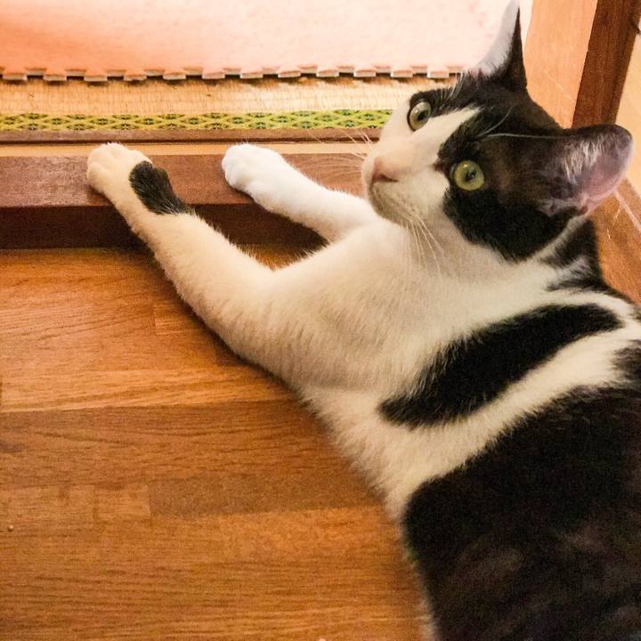 Ccc6bbf5 82bb 4d3d 9e06 1146209131bf