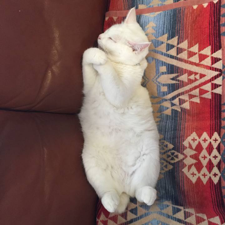 Ccc6ed13 226d 48e1 8cfe 6eca562aeb5c