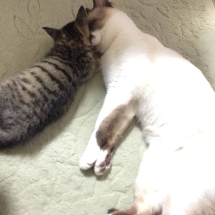 Ccc7cac5 0f05 4238 bae3 563d1389a299