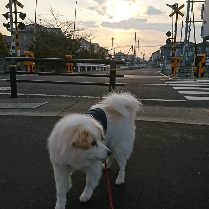 Ccc82c20 486b 47aa 8a22 5afbc697ed31