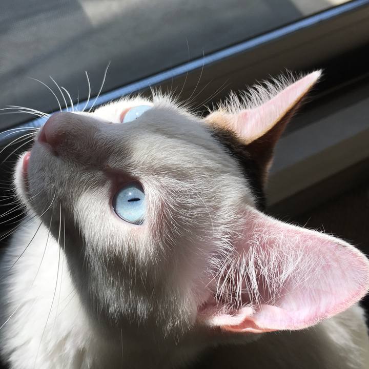 Ccc8c982 d20f 40bc b78b 3364c57d3099