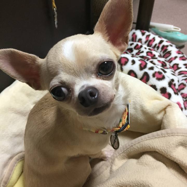 Ccc92f88 67b0 4243 aa55 d979cde6d791