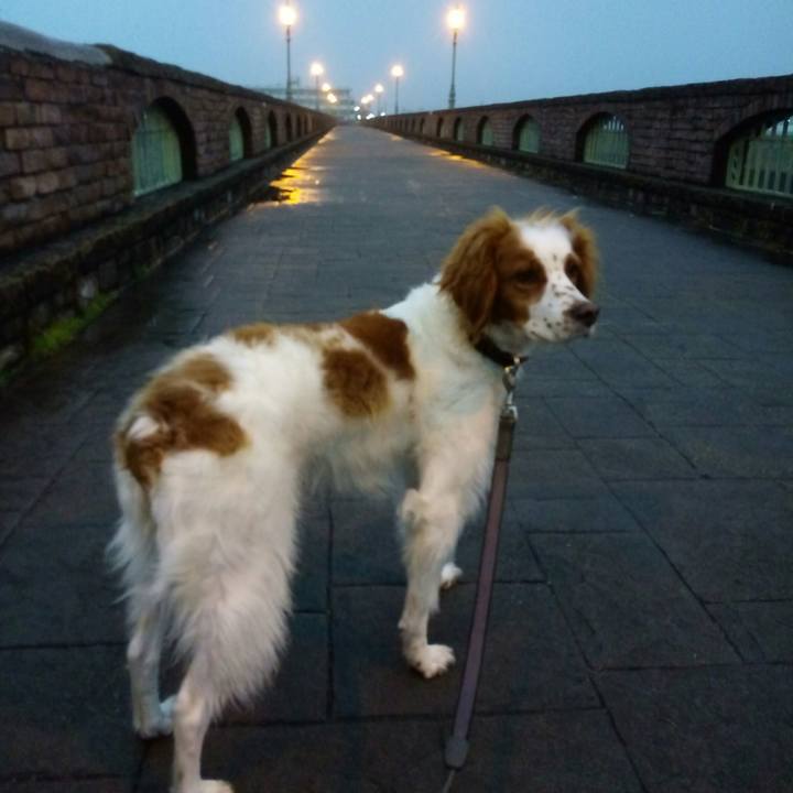 Ccc9e73d a692 4558 a53e a30f8fdb9c56