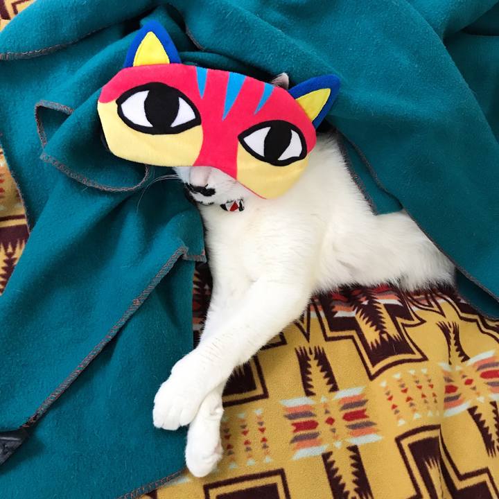 Ccca706f 467b 4e77 8f24 01b25627a68c