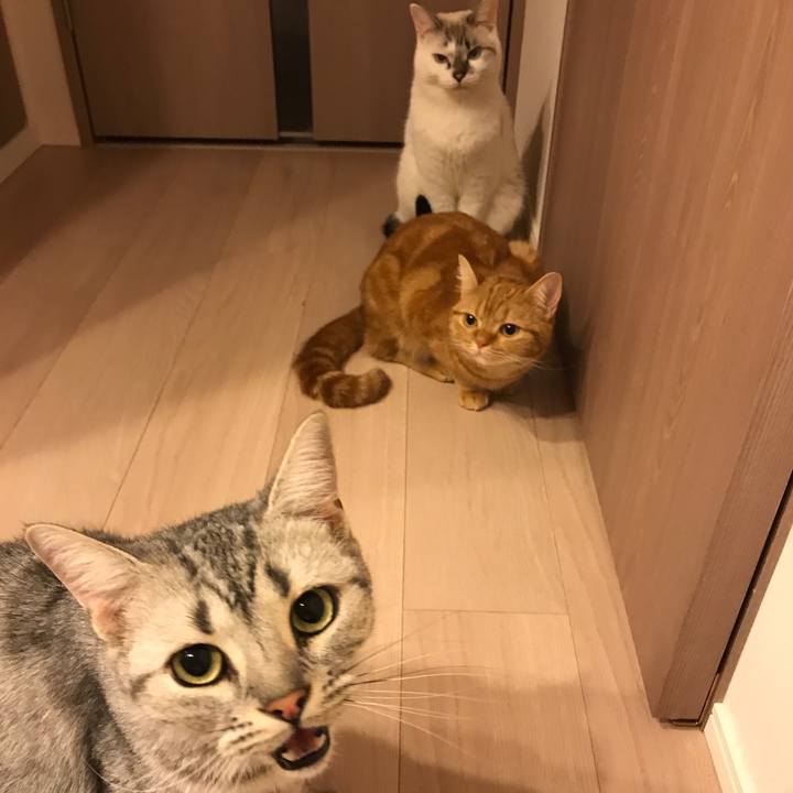 Cccaed14 d3a6 4b4d 966b 20306631d9b7