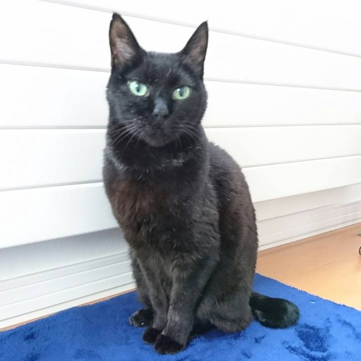 Cccafe9d f8c2 414a 817b 94b5ed140e6f