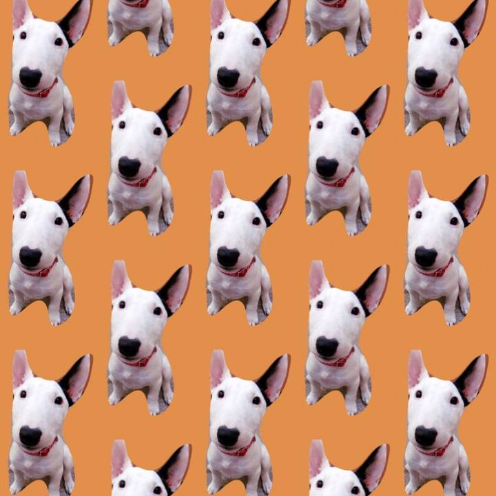 Cccb4dff f41d 4ec5 8592 c689806f310b