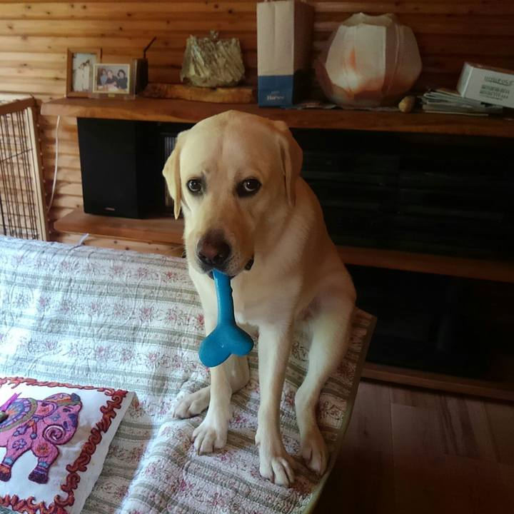 Cccd1687 78eb 4c86 980e ce04237b09f1