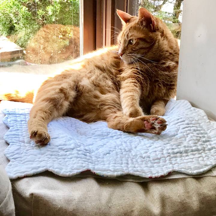 Cccd24d0 dbfa 47c0 a98f 4fd4521bb160