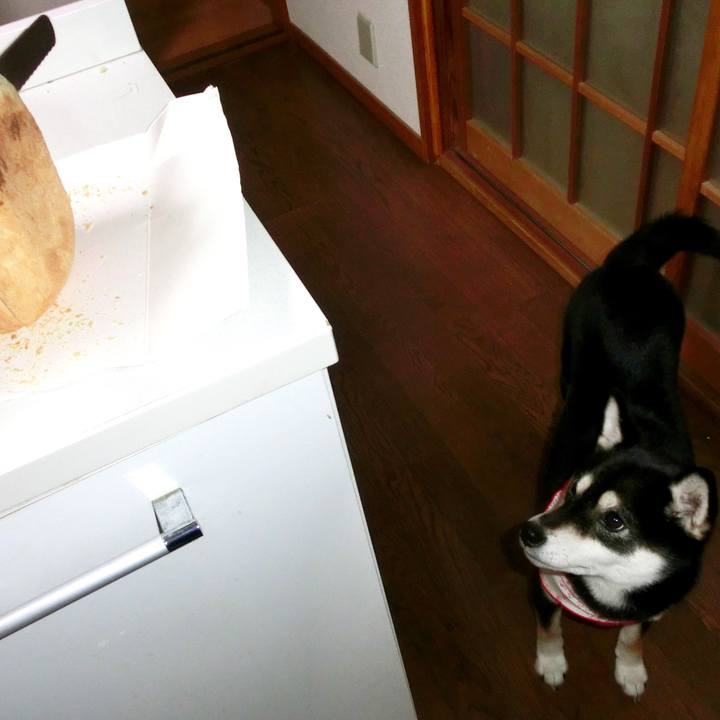 Cccd54ac 74d9 4ae8 a1f1 0ad7387f4e82