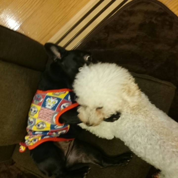 Cccfec95 1fe6 4b41 a7ef dcda0fa31888