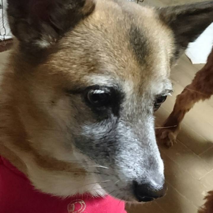 Ccd00197 7d08 4155 984b bfa1a15c5e31