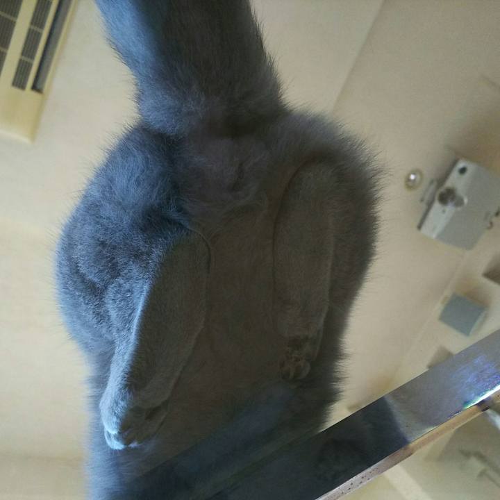 Ccd01c24 99a4 446c a79e 6c9d886d11b8