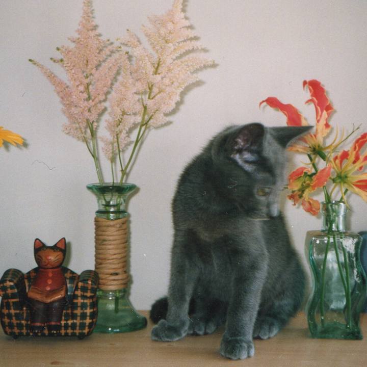 Ccd05b34 e213 4b53 905f 1b24d2d635db