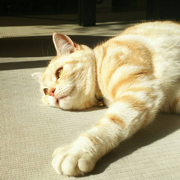 Ccd0e281 0b20 4f27 b764 595d7bcebaf0