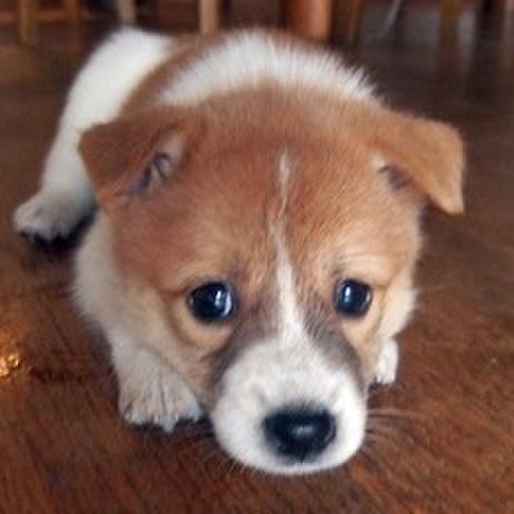 Ccd1f96b 2e1f 4761 ae4a de1ca065881b