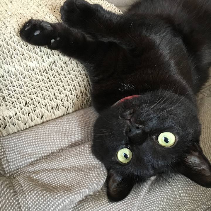 Ccd22c24 7b1c 4c22 9151 edd984c47279