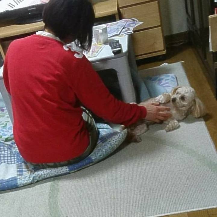 Ccd29306 0887 450f 92e1 5d69ce811fa1